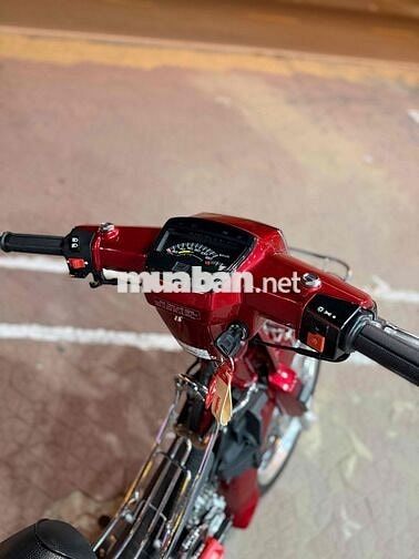 Honda Super Dream Đỏ Candy dọn đồ xịn xé bịch 9c