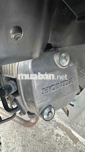 Honda Wave Alpha 110 2023 Trắng ( hỗ trợ góp )