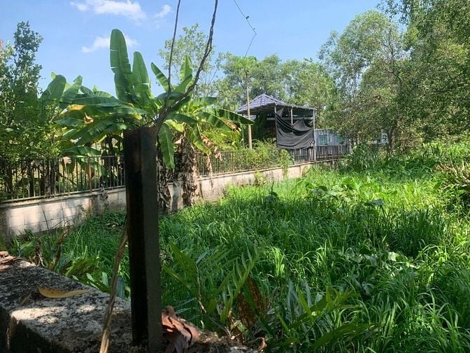 Chính chủ bán đất vườn P. Long Phước, Q.9  - Giá rẻ nhất khu vực