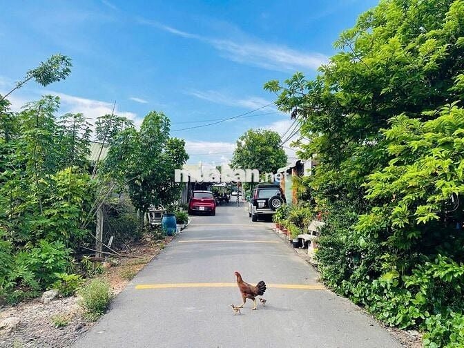 ĐỊNH CƯ SANG PHÁP BÁN MT ĐƯỜNG 218 95M2 GIÁ 580TR THƯƠNG LƯỢNG