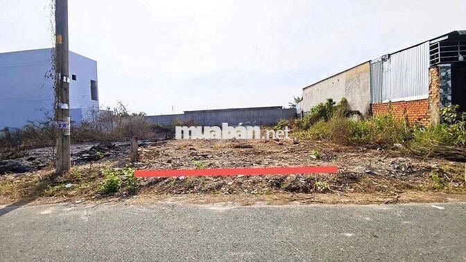 Bán 125m2 Đất thổ cư - Tại Tân Thông Hội, Củ Chi -Giá Chỉ 550 Triệu
