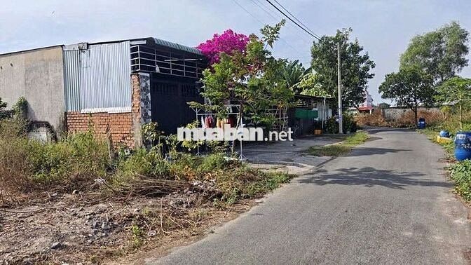Bán 125m2 Đất thổ cư - Tại Tân Thông Hội, Củ Chi -Giá Chỉ 550 Triệu
