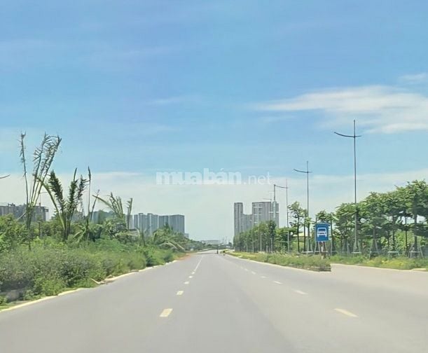 Bán nhanh 150m đất phân lô đường 3.5 Hoài Đức giá ưu tiên 