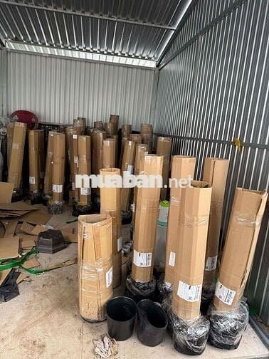Vườn Của Đạt cần tuyển 2 nhân viên đóng cây cảnh