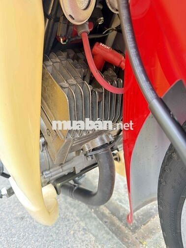 Suzuki Xipo 2000 Côn tay Đỏ