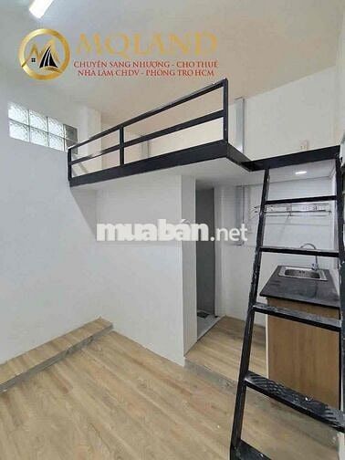 Sang Chdv Thuê 32 Lời 50 Phú Nhuận