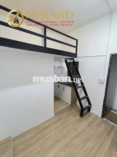 Sang Chdv Thuê 32 Lời 50 Phú Nhuận