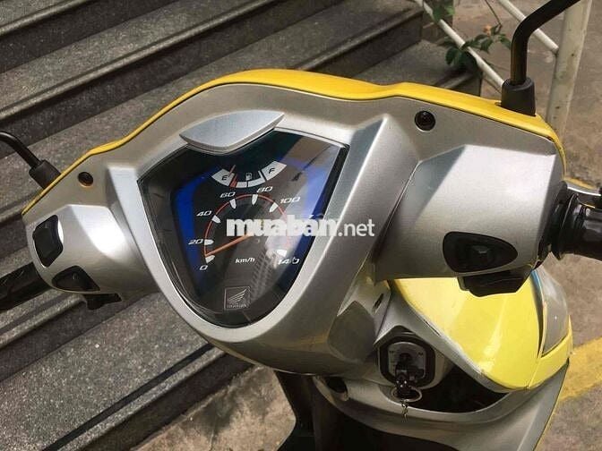vision vàng đen, chính chủ công liền bstp
