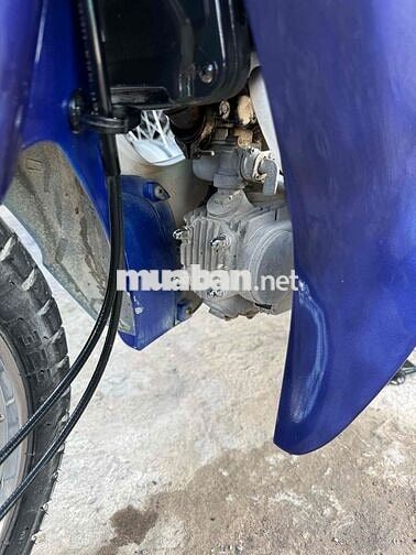 SYM Elegant 50 Ko Bằng Lái/ Cccd Chủ 95
