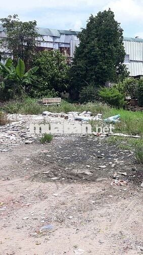 410 m2 ( Có Thổ Cư ) 👉 Làm Kho Xưởng, Nhà Vườn