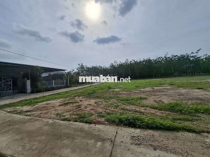 CHÍNH CHỦ cần bán gấp lô đất 250m2 giá 250TR