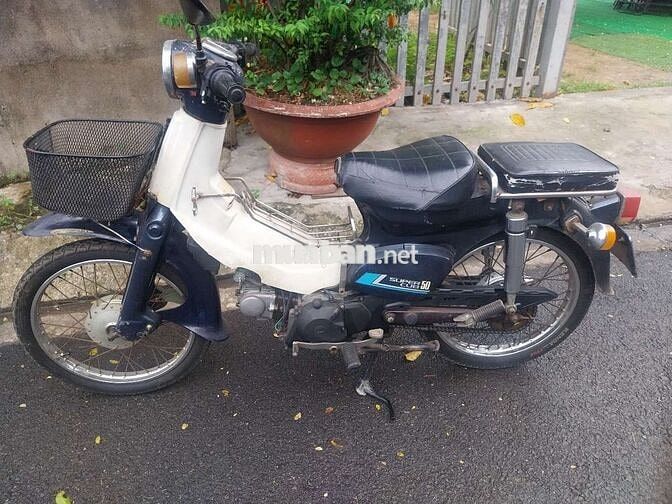 Honda Super Cub 50 Trắng, Xanh đen