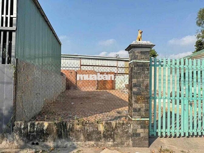 ĐẤT PHÚ HOÀ TDM - mặt tiền nhựa 269 diện tích đẹp xây nhà đẹp