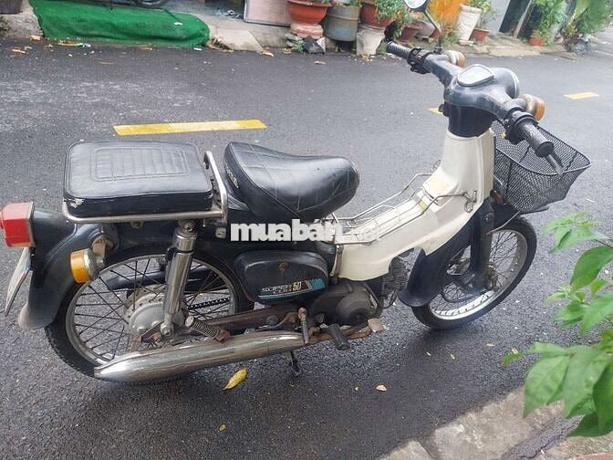 Honda Super Cub 50 Trắng, Xanh đen