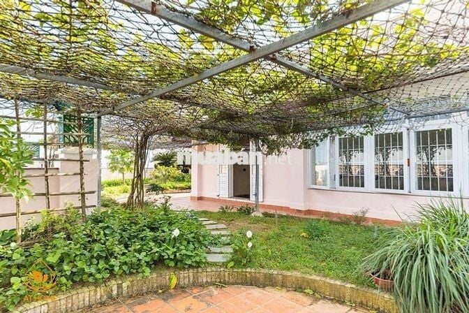 Văn phòng cho thuê đầu cầu Trần Thị Lý, Đà Nẵng