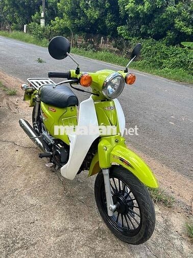 Xe máy Cub 50cc có đề
