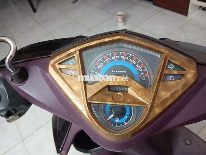 Yamaha Luvias Đen Tím 