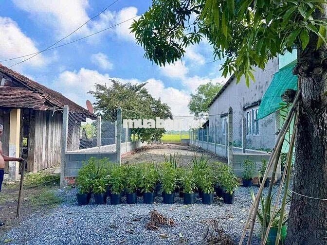 BÁN GẤP LÔ ĐẤT ĐẸP GẦN BẾN XE CỦ CHI – VỊ TRÍ ĐẮC ĐỊA, TIỀM NĂNG SINH