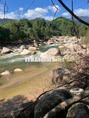 bán đất view sông máu quy hoạch thổ cư giá rẻ