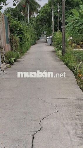  đất trồng cây lâu năm tại xã Bình Chánh, Tp.HCM