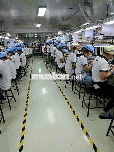 CẦN TUYỂN 200 LĐPT NAM/NỮ SX LINH KIỆN ĐIỆN TỬ