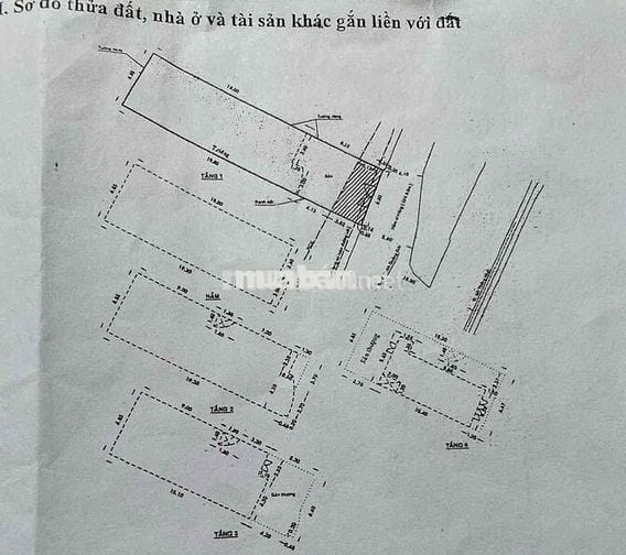 Bán gấp biệt thự Thích Quảng Đức giảm sâu 10 tỷ