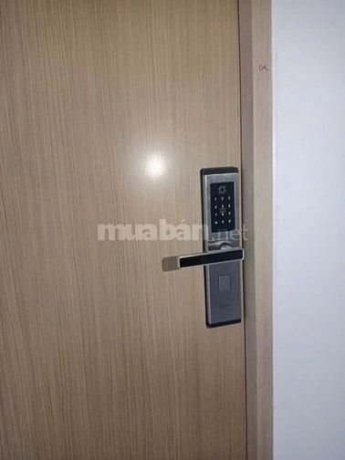 Chung cư Diyas, Nguyễn Đức Thuận, TB: 1p ngủ, full NT, 8tr5