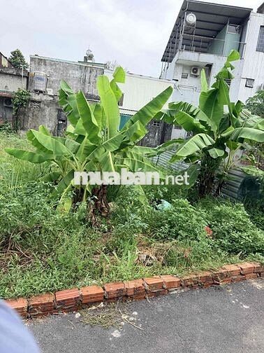 ĐẤT ĐẸP KĐT PHƯỚC LÝ – ĐƯỜNG OTO 5M – SẴN SÀNG XÂY DỰNG NGAY  Vị trí: