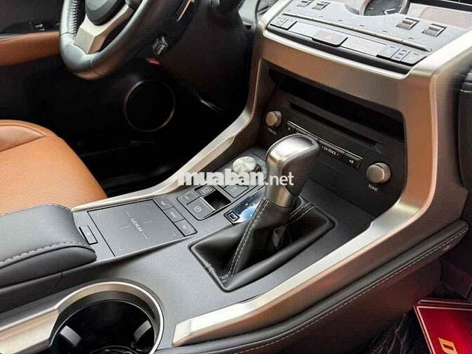 Lexus NX 300 2019 Đỏ