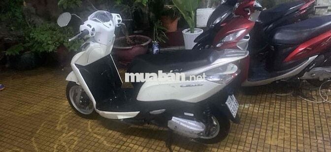 Honda Lead Trắng 5x.xxx km