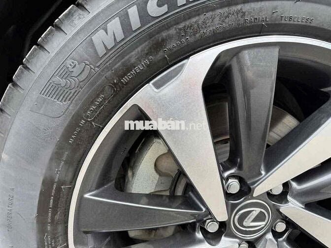 Lexus NX 300 2019 Đỏ