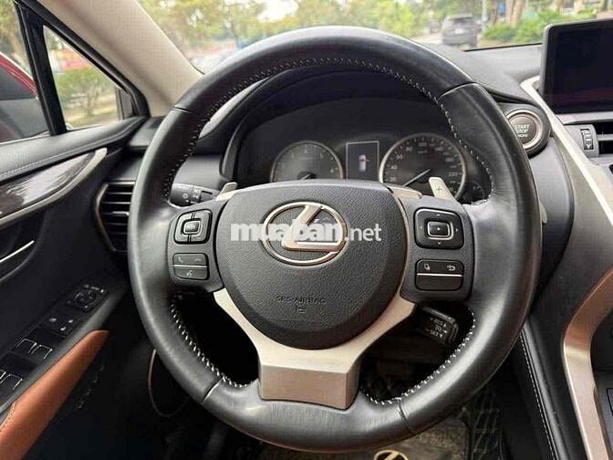 Lexus NX 300 2019 Đỏ