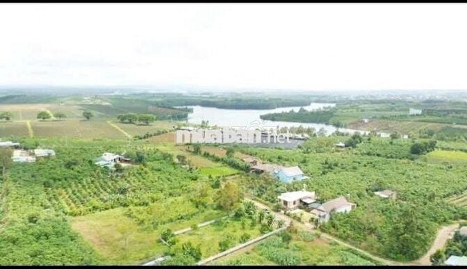 Gia đình bán hơn 500m² có 200m thổ cư gần hồ cánh Bướm Olala Glamping 