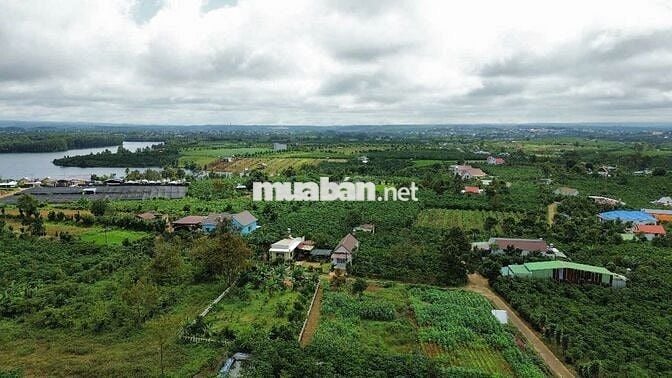 Gia đình bán hơn 500m² có 200m thổ cư gần hồ cánh Bướm Olala Glamping 