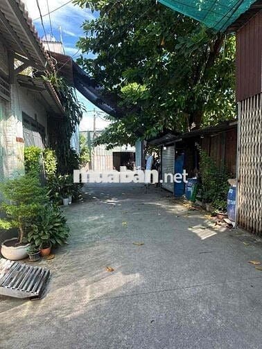 Xưởng Cho Thuê Nền Sạch HĐ Lâu Dài