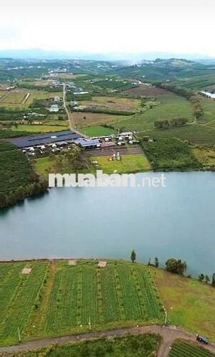 Gia đình bán hơn 500m² có 200m thổ cư gần hồ cánh Bướm Olala Glamping 