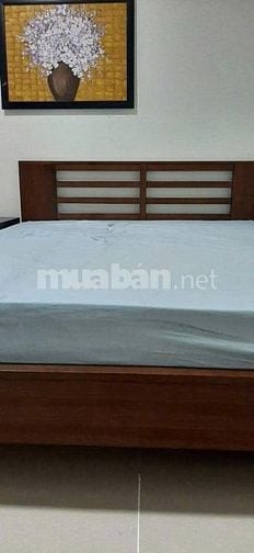 The Useful Lạc Long Quân-P.Tân Hòa (P9.TB cũ) căn 2p ngủ giá 9tr/tháng