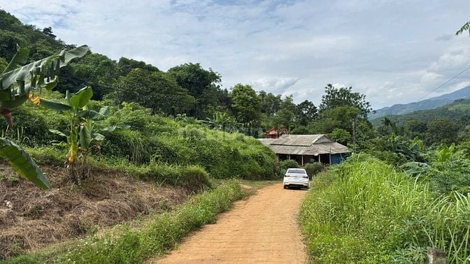 BÁN 3.220m² ĐẤT NHÀ VƯỜN NGHỈ DƯỠNG GIÁ SIÊU RẺ TẠI HÒA BÌNH