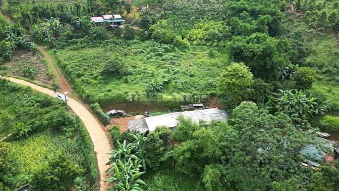 BÁN 3.220m² ĐẤT NHÀ VƯỜN NGHỈ DƯỠNG GIÁ SIÊU RẺ TẠI HÒA BÌNH