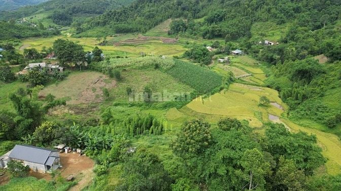 BÁN 3.220m² ĐẤT NHÀ VƯỜN NGHỈ DƯỠNG GIÁ SIÊU RẺ TẠI HÒA BÌNH