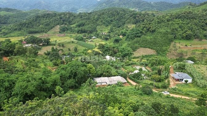 BÁN 3.220m² ĐẤT NHÀ VƯỜN NGHỈ DƯỠNG GIÁ SIÊU RẺ TẠI HÒA BÌNH