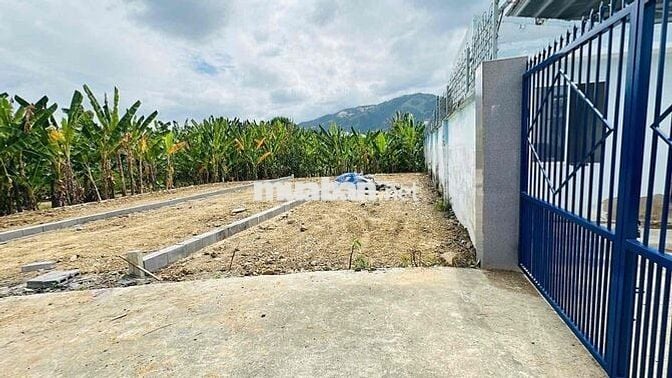 KHÔNG THỂ TIN ĐẤT PHƯỜNG TÂY NHA TRANG GIÁ CÒN RẺ HƠN ĐẤT DIÊN KHÁNH