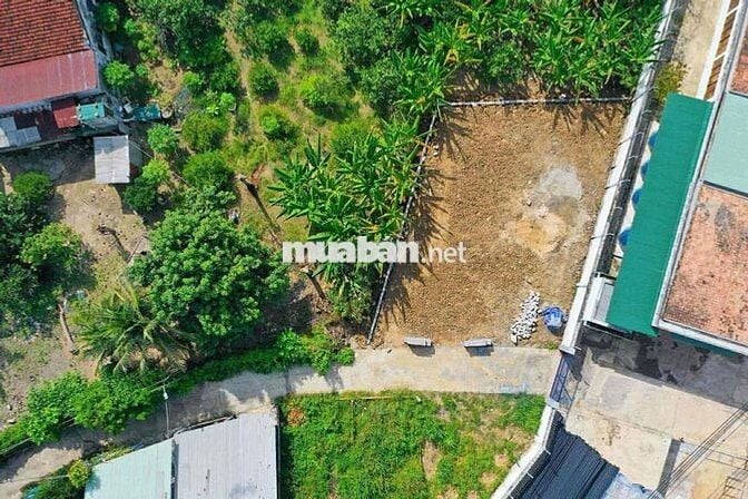 KHÔNG THỂ TIN ĐẤT PHƯỜNG TÂY NHA TRANG GIÁ CÒN RẺ HƠN ĐẤT DIÊN KHÁNH