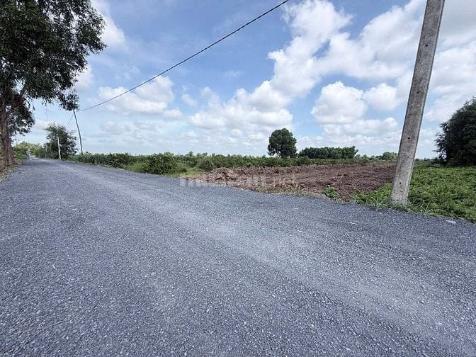 Hàng hiếm tại tỉnh lộ 816, 360 triệu, 500m2 đất vườn View Kênh mát mẻ 