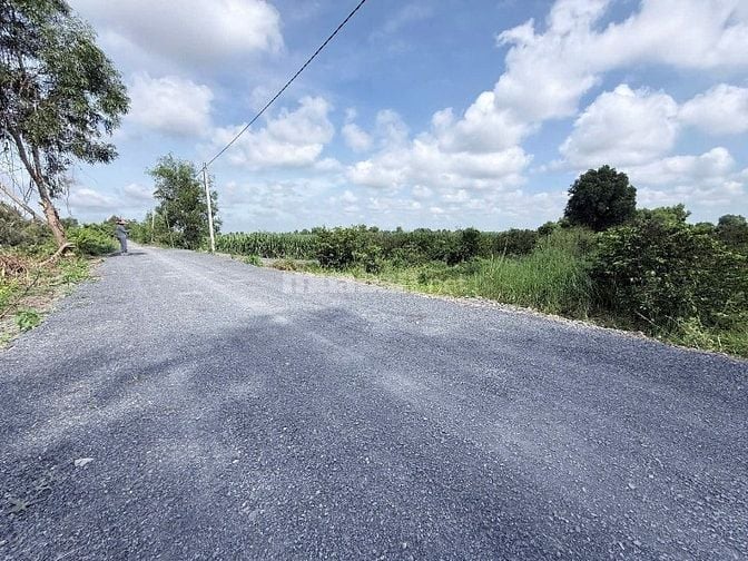 Hàng hiếm tại tỉnh lộ 816, 360 triệu, 500m2 đất vườn View Kênh mát mẻ 