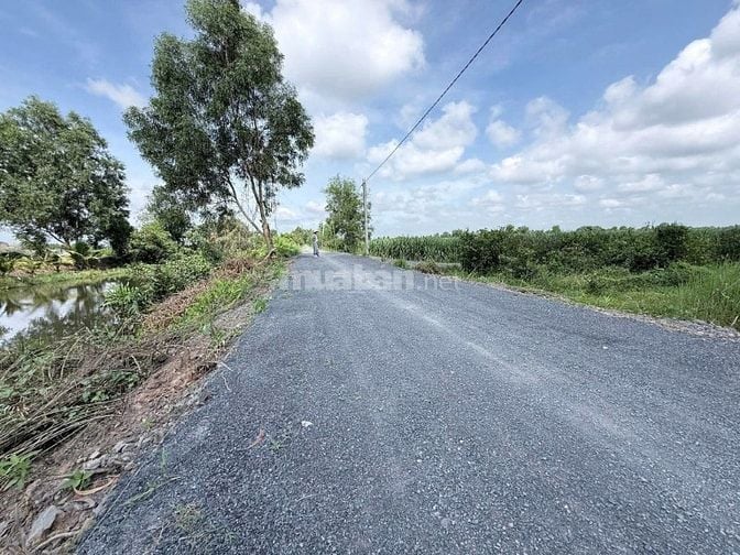 Hàng hiếm tại tỉnh lộ 816, 360 triệu, 500m2 đất vườn View Kênh mát mẻ 