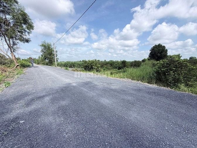 Hàng hiếm tại tỉnh lộ 816, 360 triệu, 500m2 đất vườn View Kênh mát mẻ 