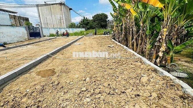KHÔNG THỂ TIN ĐẤT PHƯỜNG TÂY NHA TRANG GIÁ CÒN RẺ HƠN ĐẤT DIÊN KHÁNH