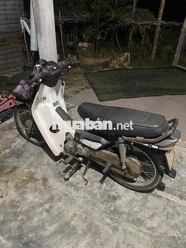 Honda Dream Trắng Cổ điển