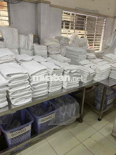 Cần 3 nhân viên giao nhận và 4 lao động PT